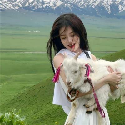 彩凤嬉春