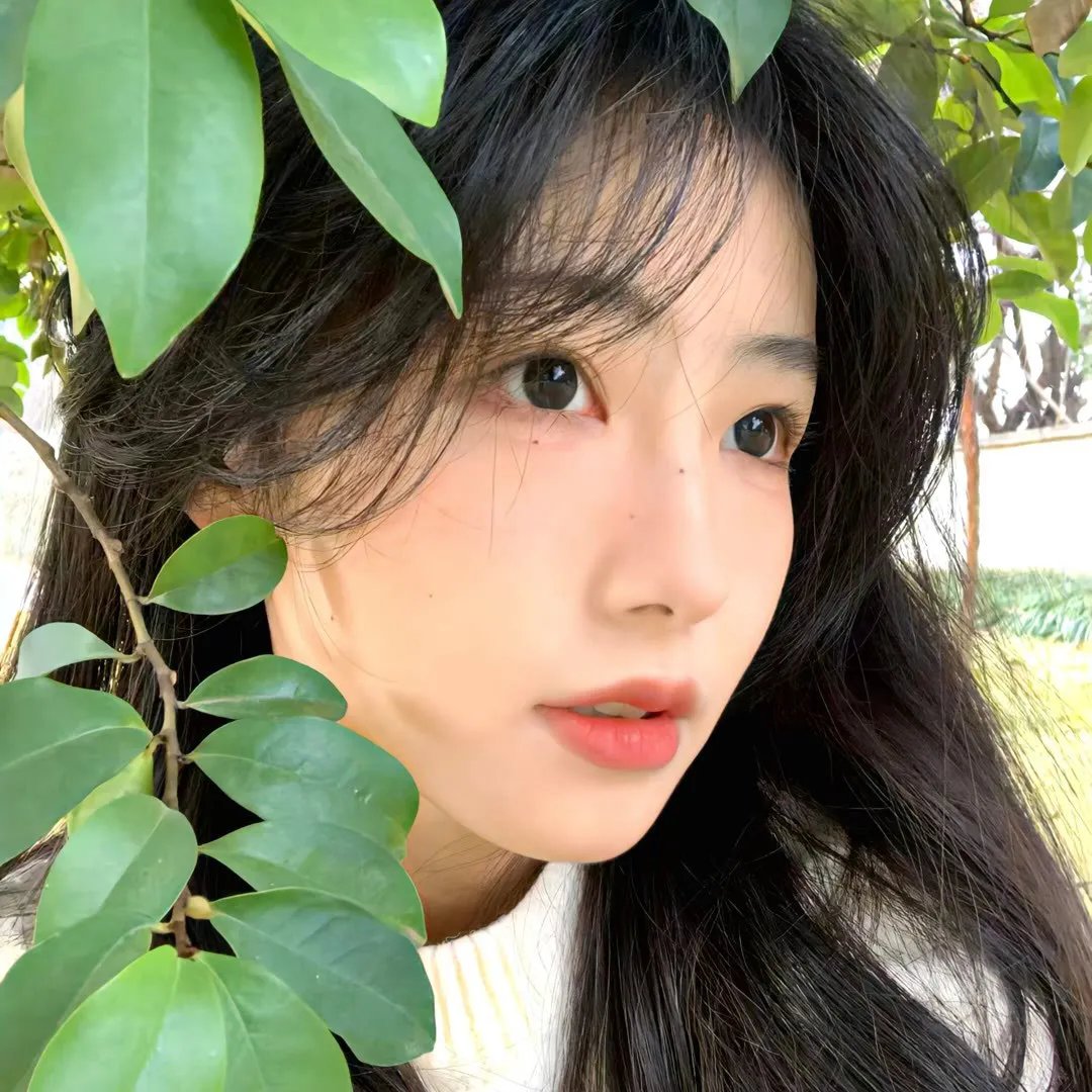 脱俗家庭